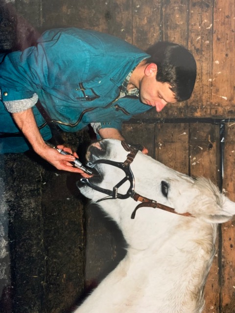 Falk-Dietrich Kaulbarsch treats a horse
